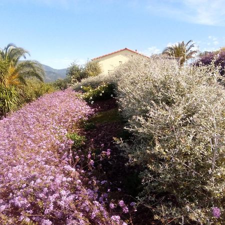 Appartamento Taggiasca A Riva Trigoso Sestri Levante Kültér fotó